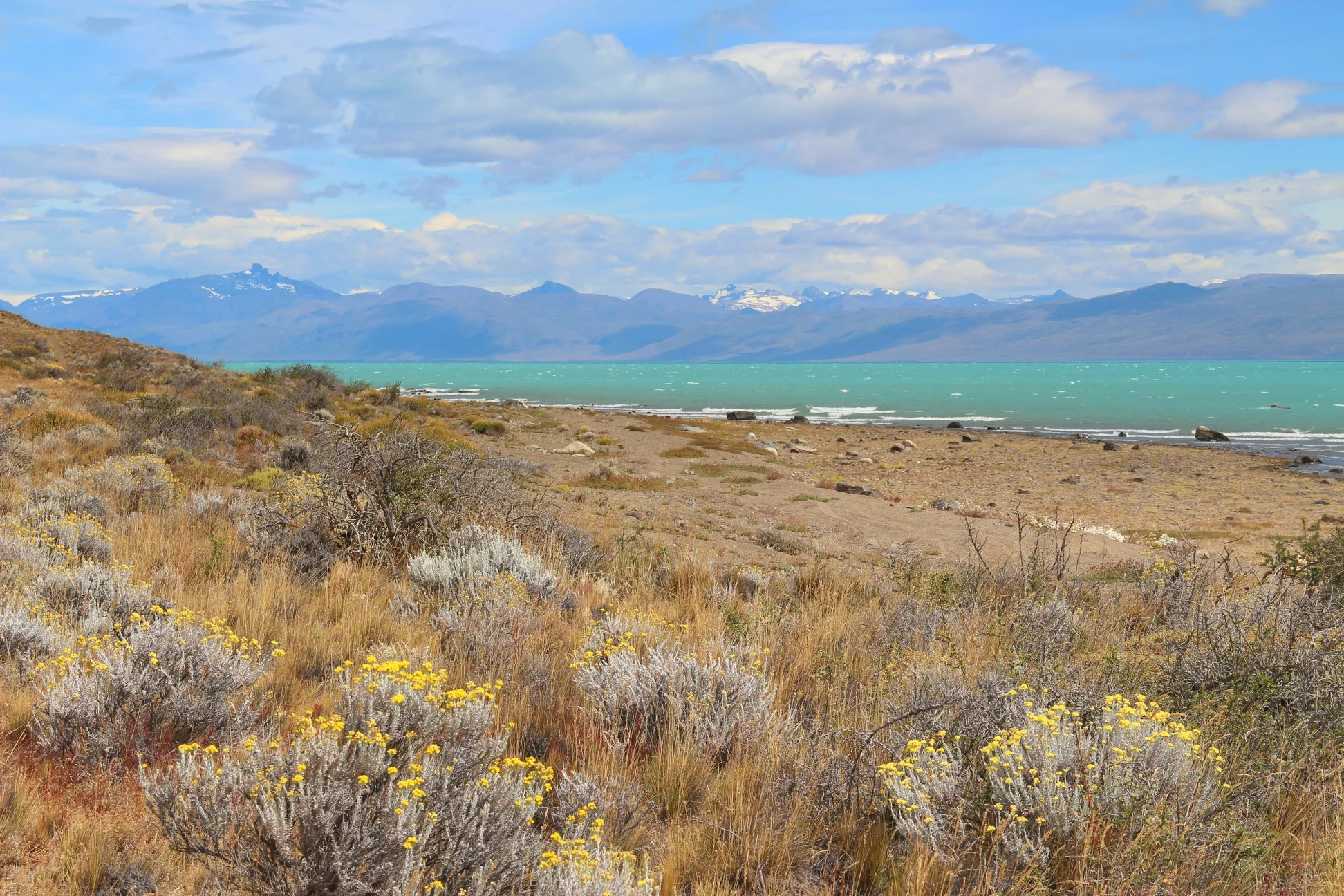 Foto do album El Calafate
